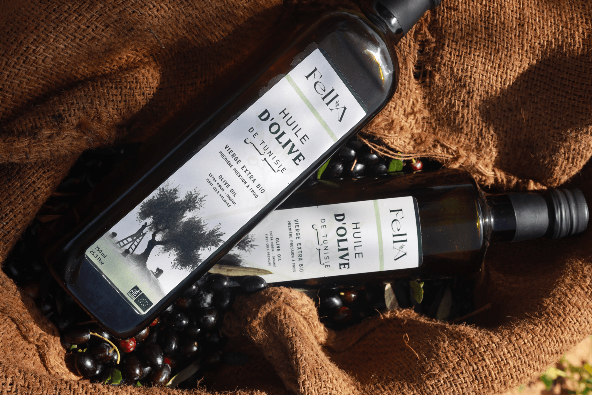 Oliviers de Zaramdine en Tunisie – Huile d’olive Fella premium